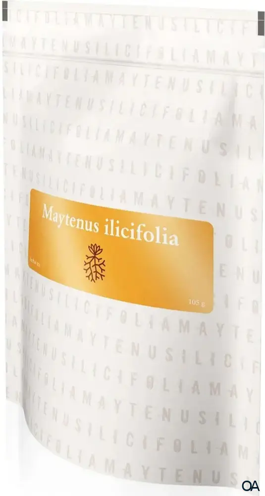 Maytenus Ilicifolia Tee, lose Maytenus Ilicifolia Tee, lose