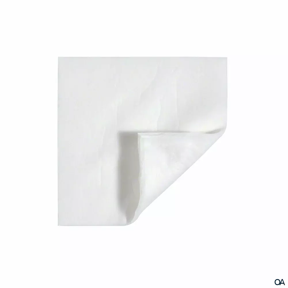 Askina® Pad Saugfähige Vliesstoffkompresse 5 x 5 cm Askina® Pad Saugfähige Vliesstoffkompresse 5 x 5 cm