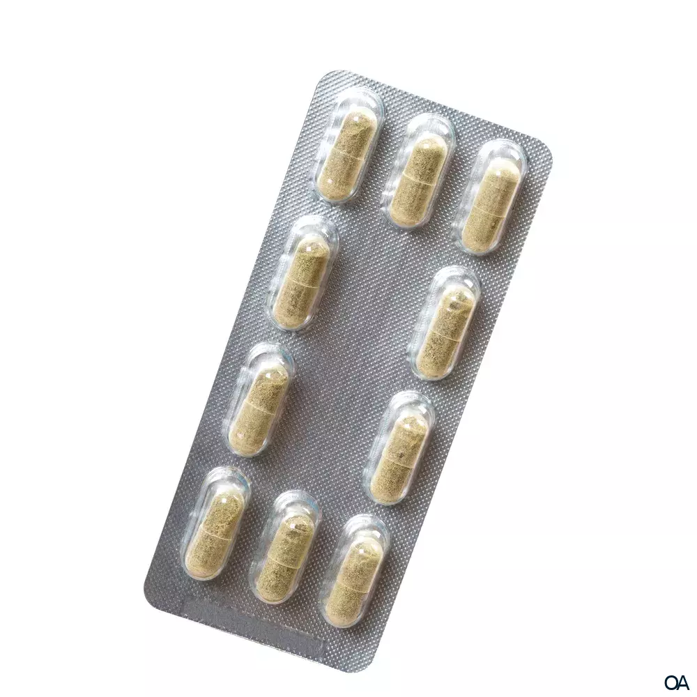 Salus® Freetox® Gerstengras-Birke Kapseln