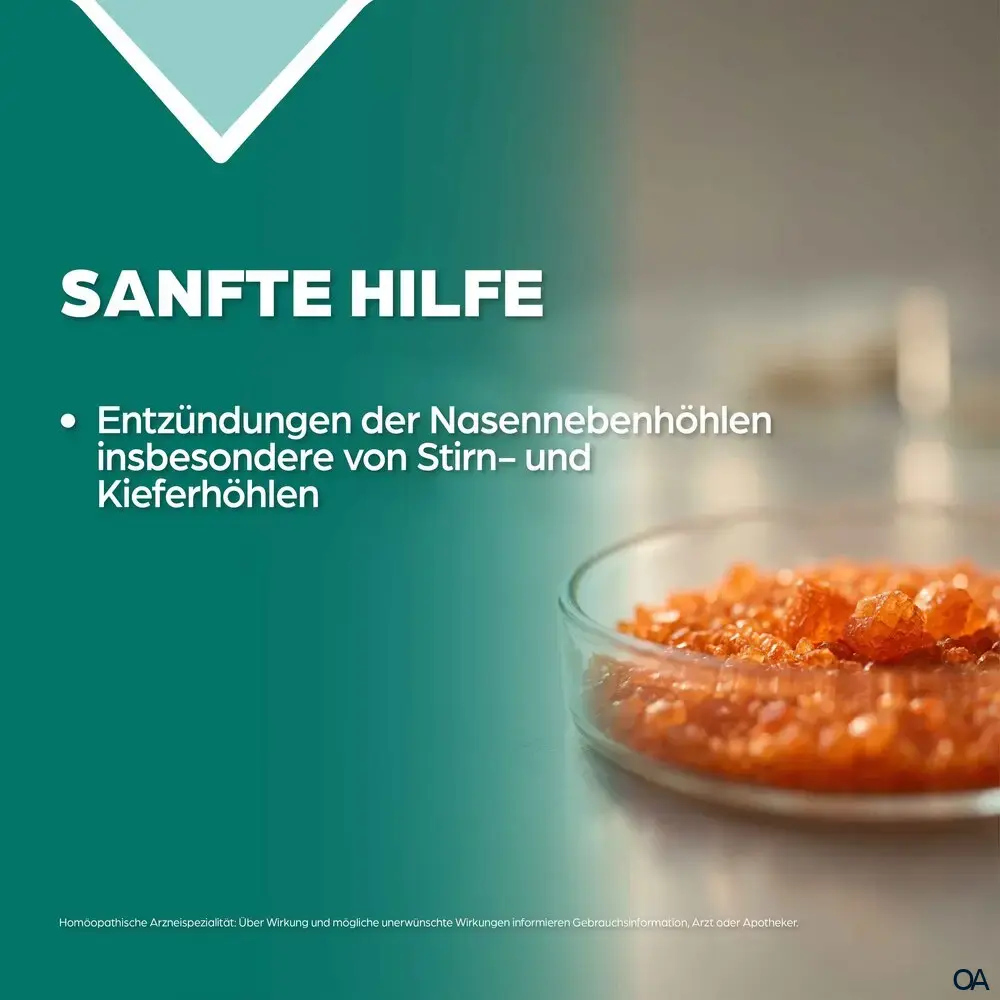Apozema® Sinusitis Kalium bichromicum complex Nr. 31 Tropfen zum Einnehmen