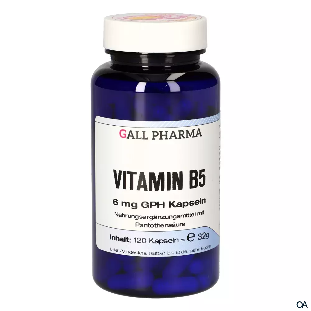 Gall Pharma Vitamin B5 6 mg Kapseln