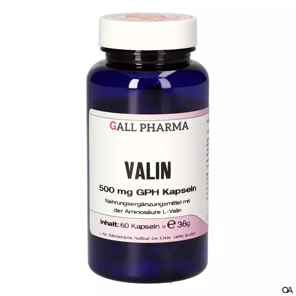 Gall Pharma Valin 500 mg Kapseln