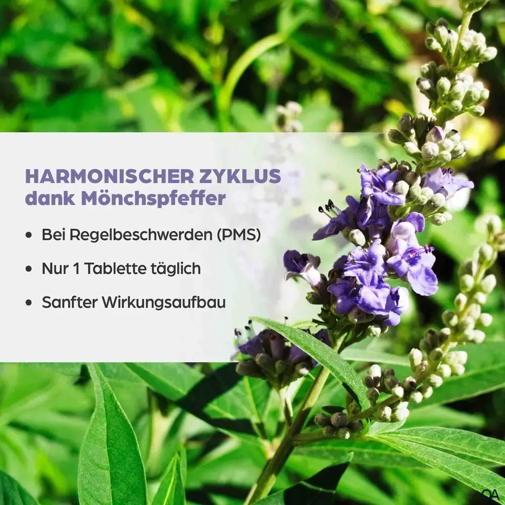 Dr. Böhm® Mönchspfeffer 4 mg Filmtabletten