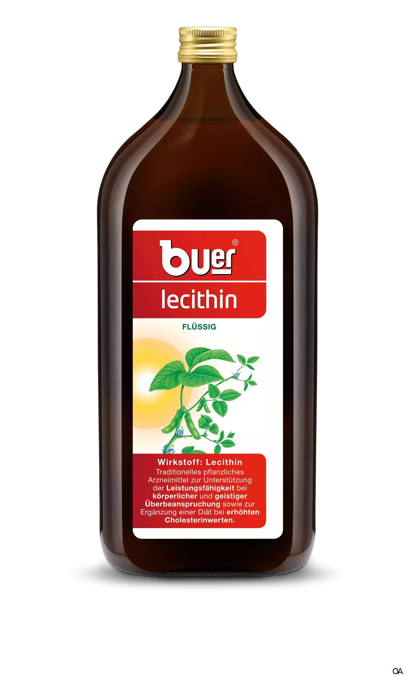 Buerlecithin flüssig Tonikum