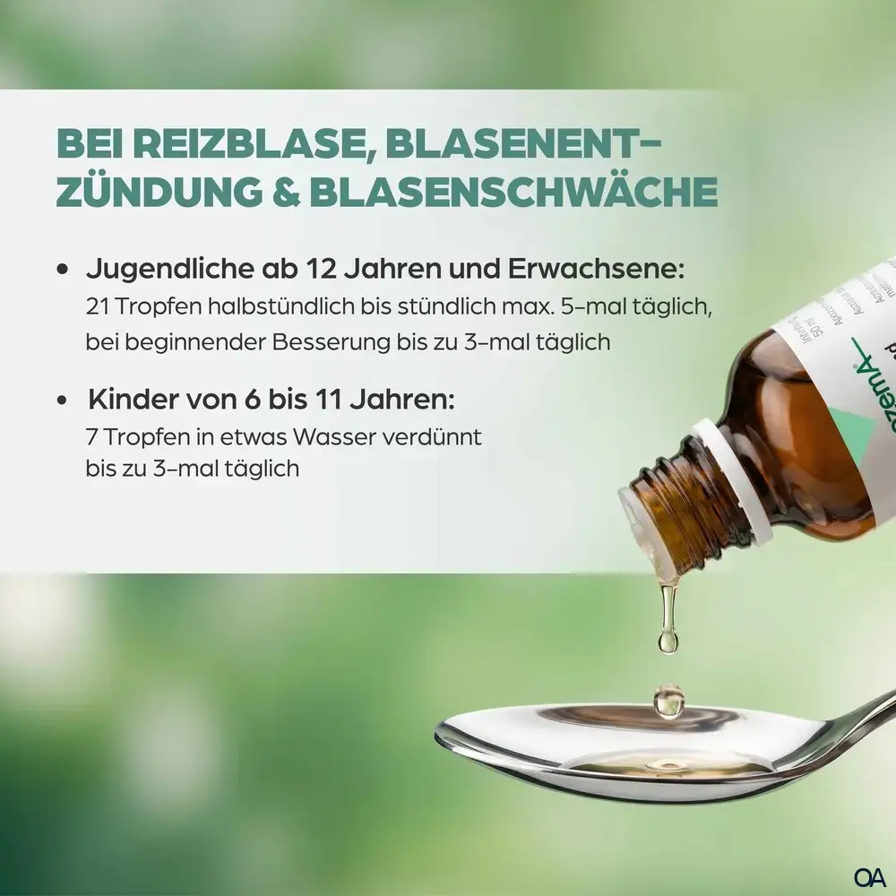 Apozema® Reizblasen Cantharis complex Nr. 26 Tropfen zum Einnehmen