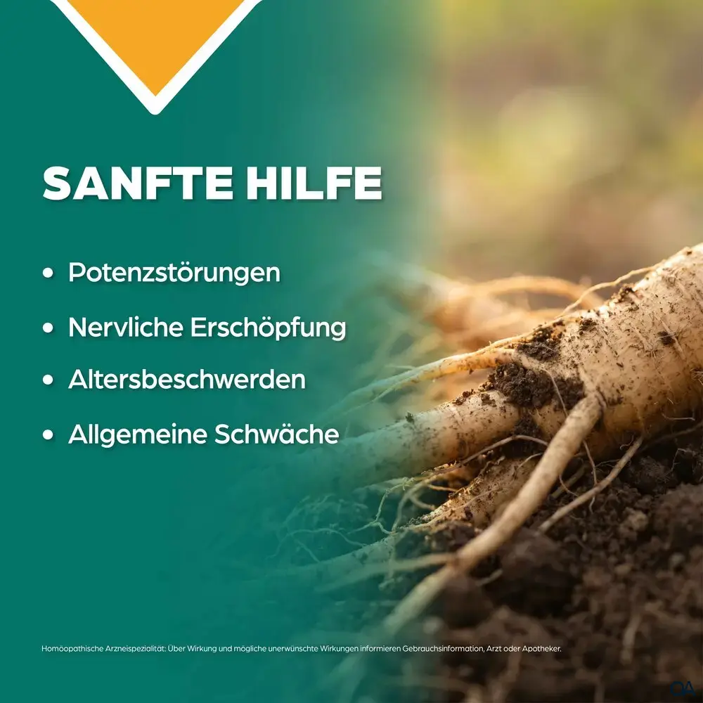 Apozema® Stärkung für Männer Ginseng complex Nr. 32 Tropfen zum Einnehmen