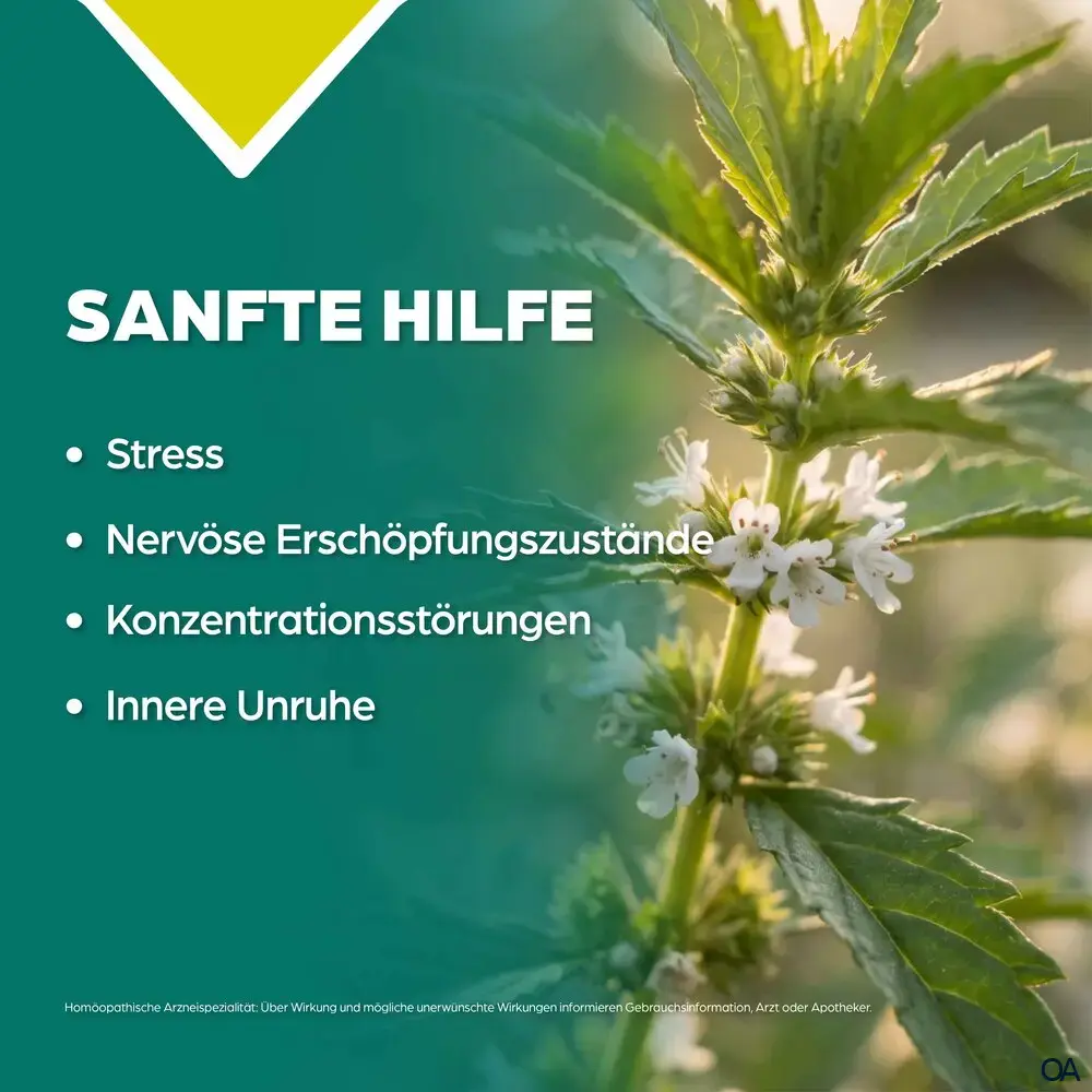 Apozema® Stress und Nerven Lycopus virginicus complex Nr. 33 Tropfen zum Einnehmen