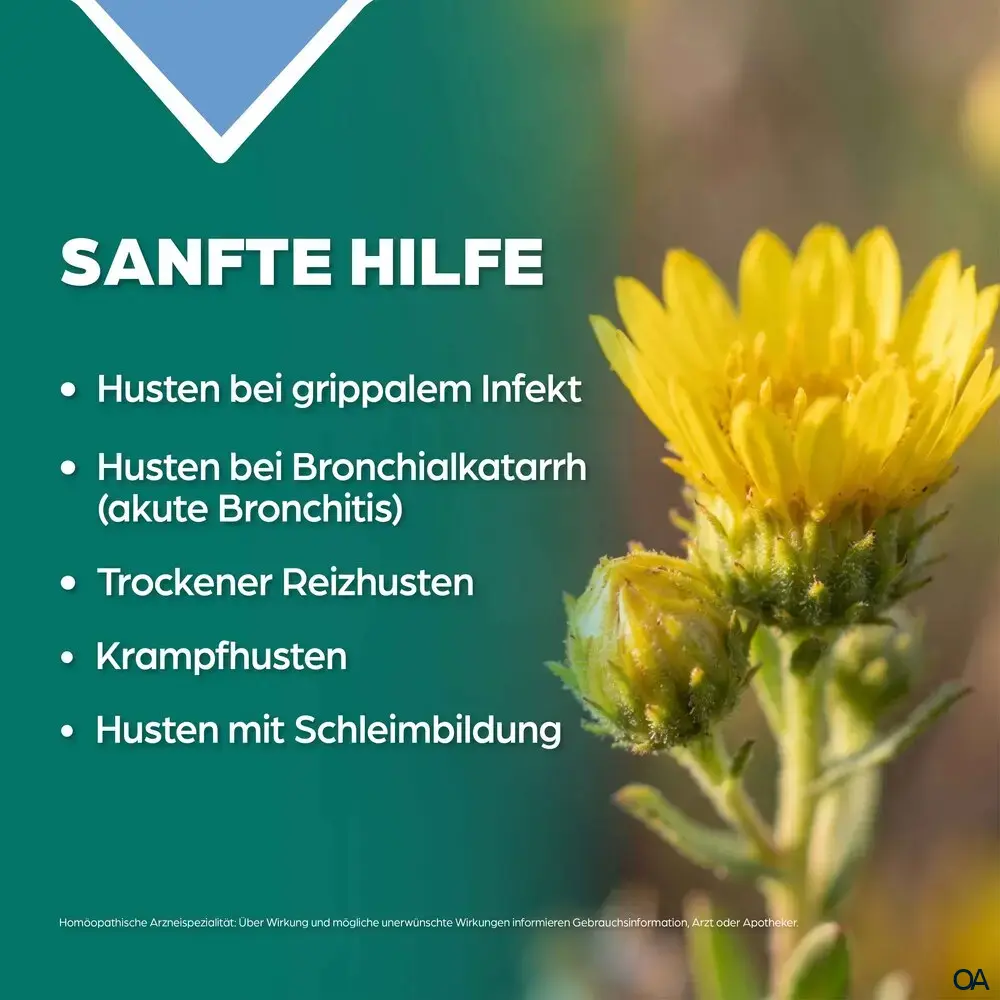 Apozema® Bronchial und Husten Grindelia complex Nr. 12 Tropfen zum Einnehmen