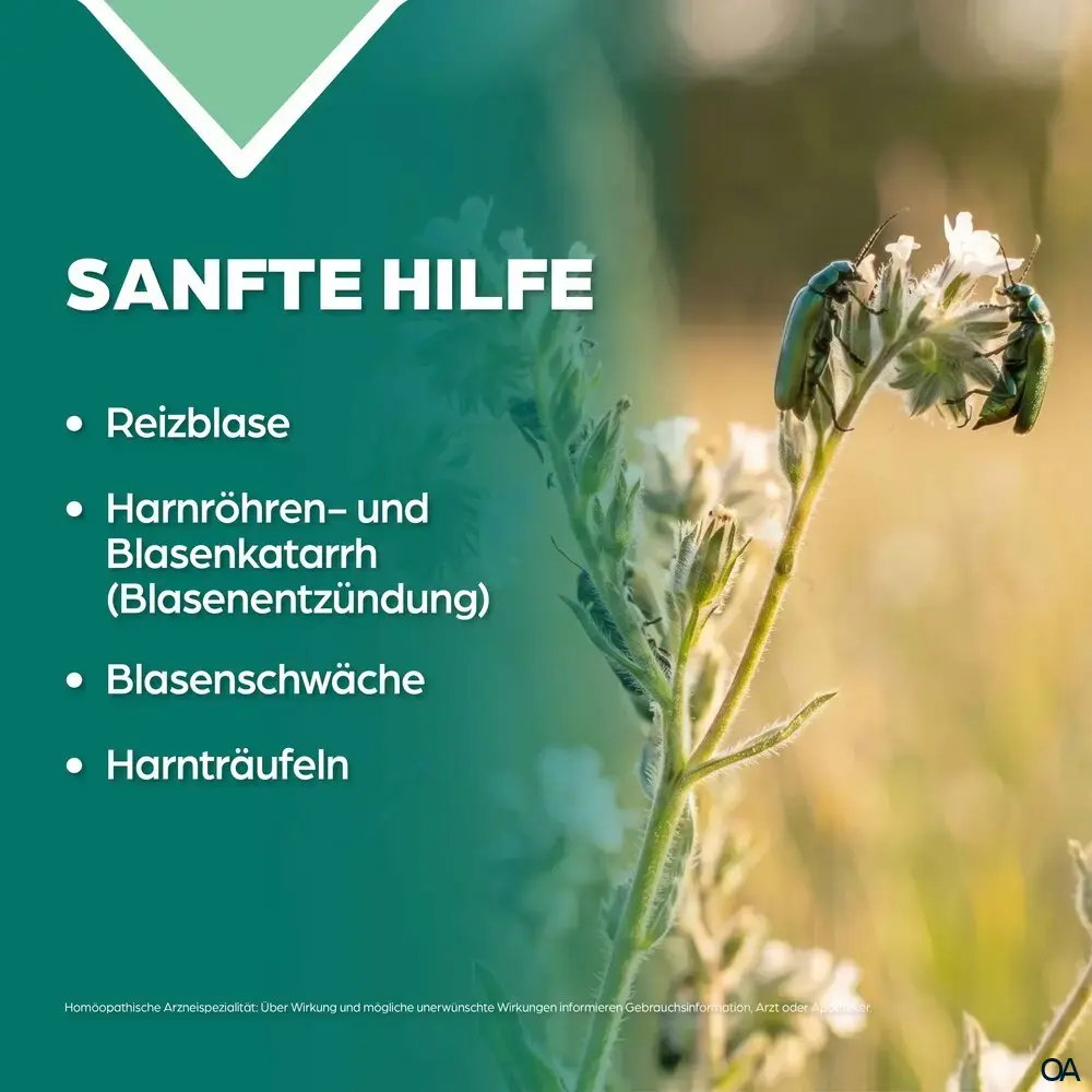 Apozema® Reizblasen Cantharis complex Nr. 26 Tropfen zum Einnehmen